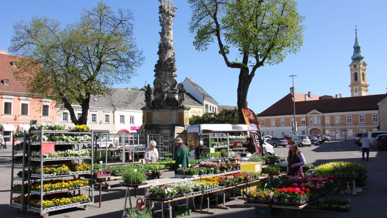 Weekly market in Stockerau with flower stalls and a baroque column in the background.