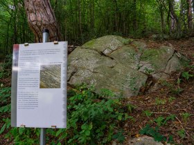 Station 3 - Methusalemstein, &copy; Unknown