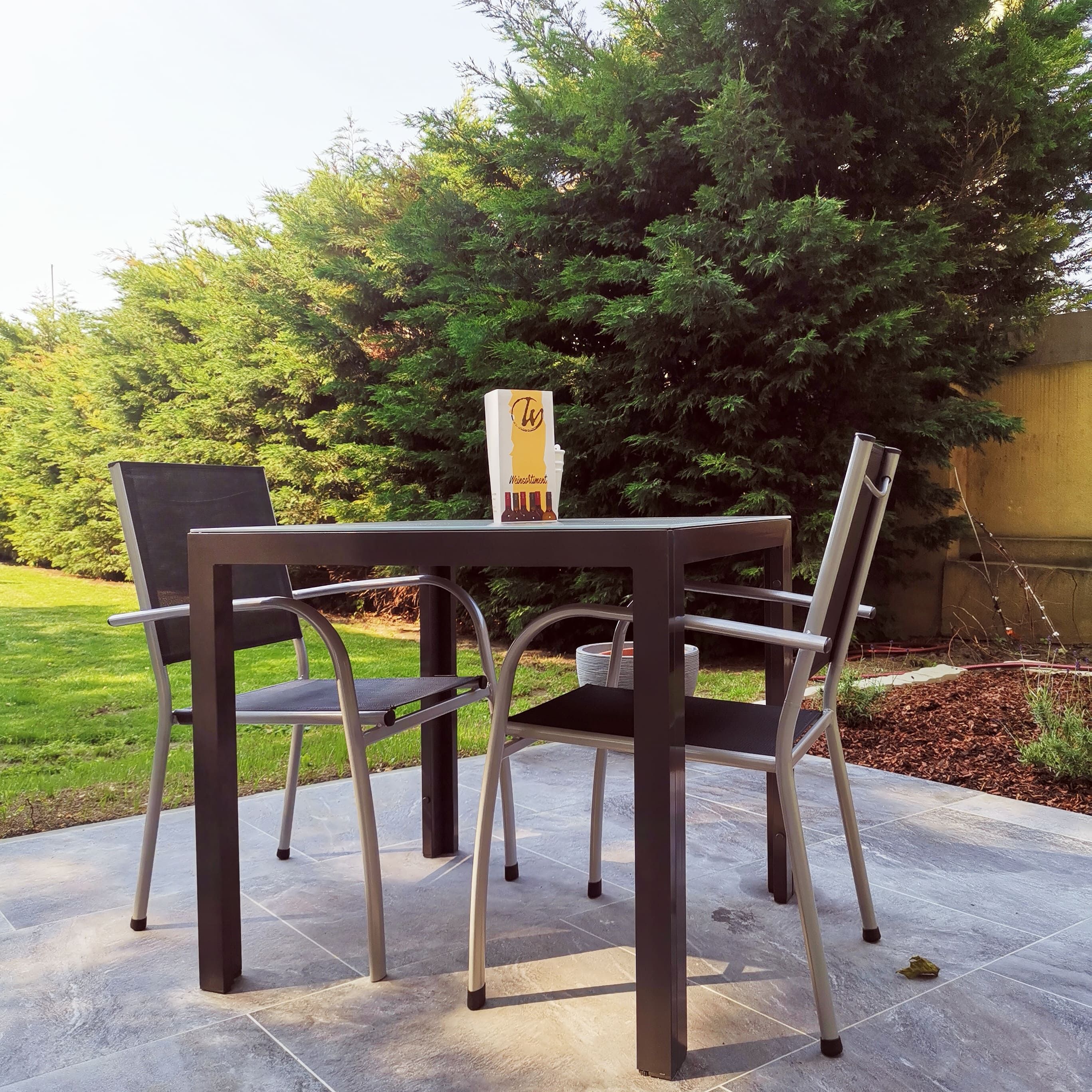 Terrace with table, two chairs and trees in the background.