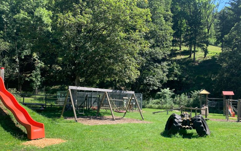 Playground in Falkenstein Nature Park with slide, swings and climbing frame, surrounded by trees.