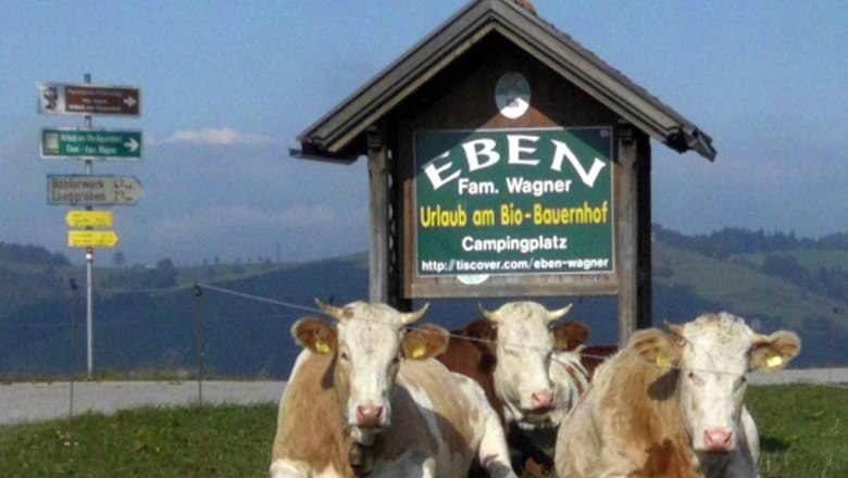 Access road, &copy; Gottfried & Rosina Wagner