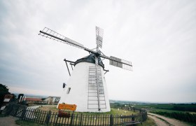 Retz windmill, © Weinviertel Tourismus / Gollner