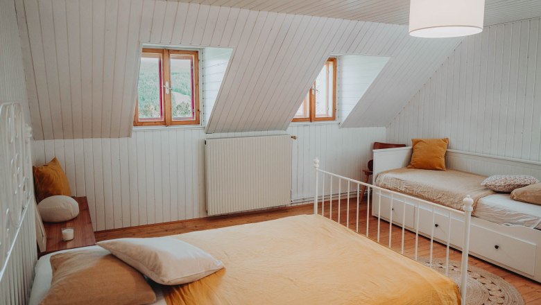 Cozy bedroom with two beds, wooden floor and skylights.