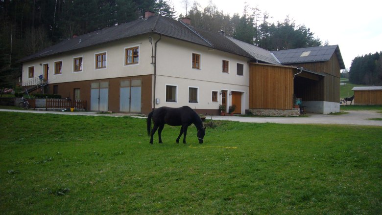 Horse farm residence, &copy; Pferdehof Kurzmann
