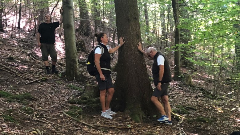 Forest bathing, &copy; Walter Hasslinger