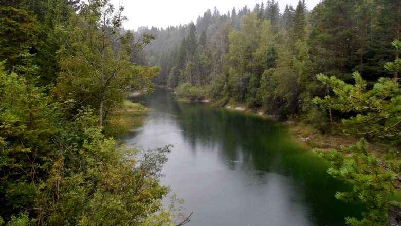 A calm, green lake surrounded by dense forest under a cloudy sky.