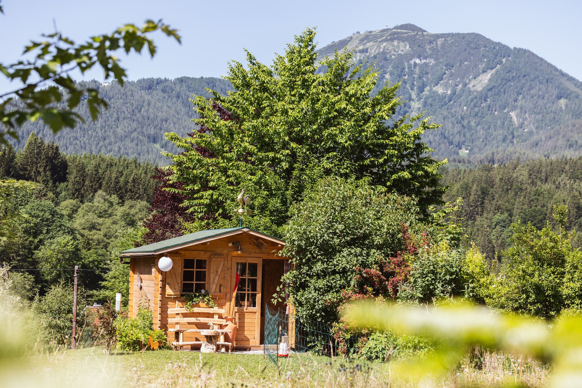 Pension Kug - Garden