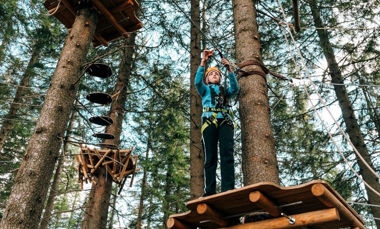 Person in climbing park on platform between trees.