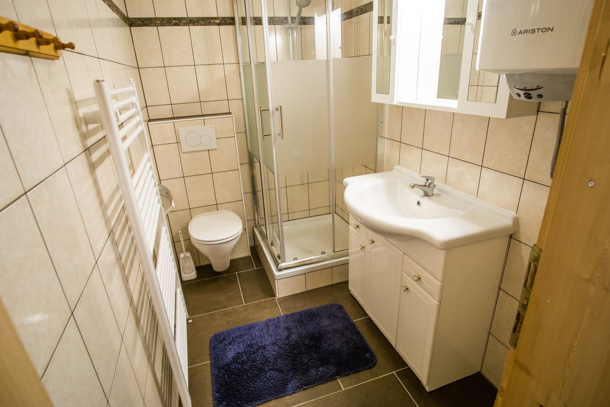 Bathroom with shower, washbasin, WC and towel radiator.