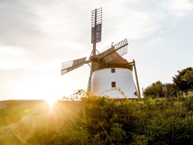 Windm&uuml;hle, Retz, Weinviertel, &copy; Weinviertel Tourismus GmbH/www.pov.at