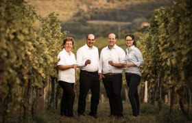 Four people stand smiling in a vineyard with wine glasses in their hands.