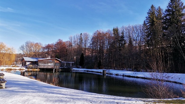 A natural pond with clear water, surrounded by snow-covered ground and trees in the background.