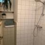 A tiled shower with shower head, towels and plants on shelves.