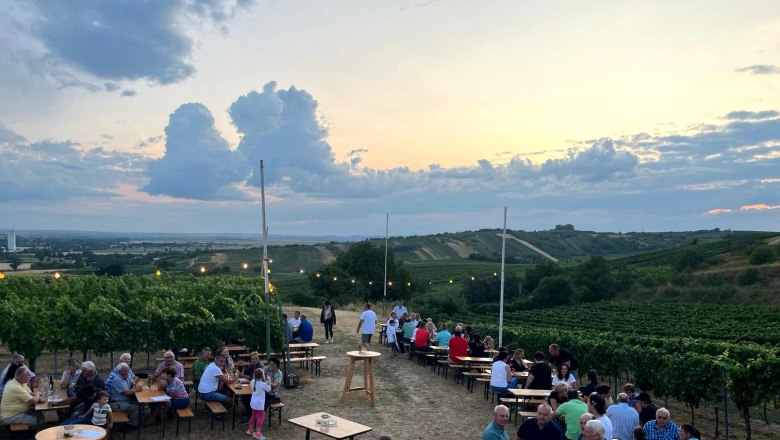 People sitting at tables in a vineyard at sunset.
