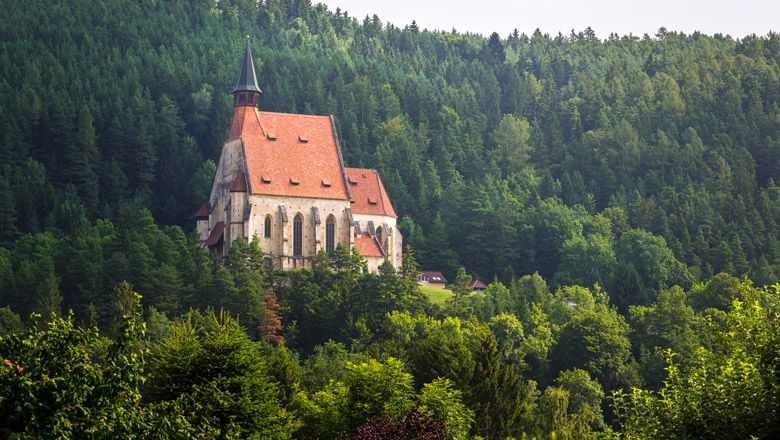 A church with a red roof in the middle of a dense forest.