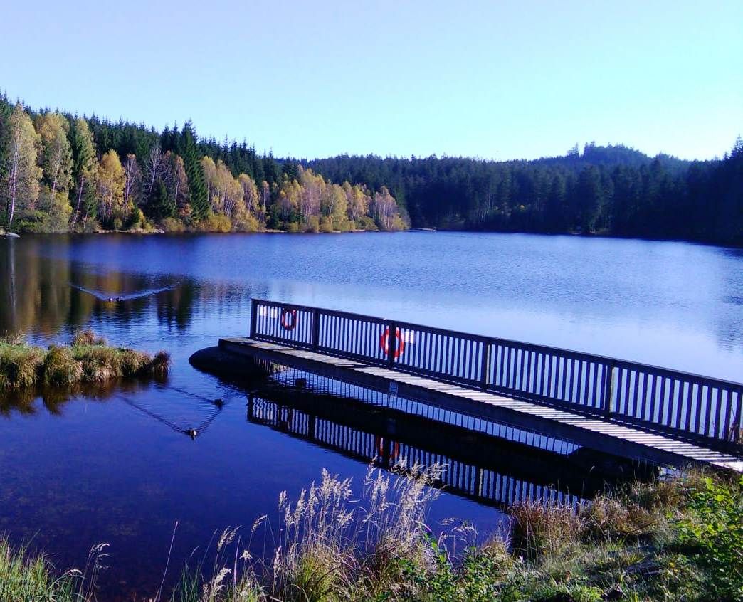 Schlesinger pond