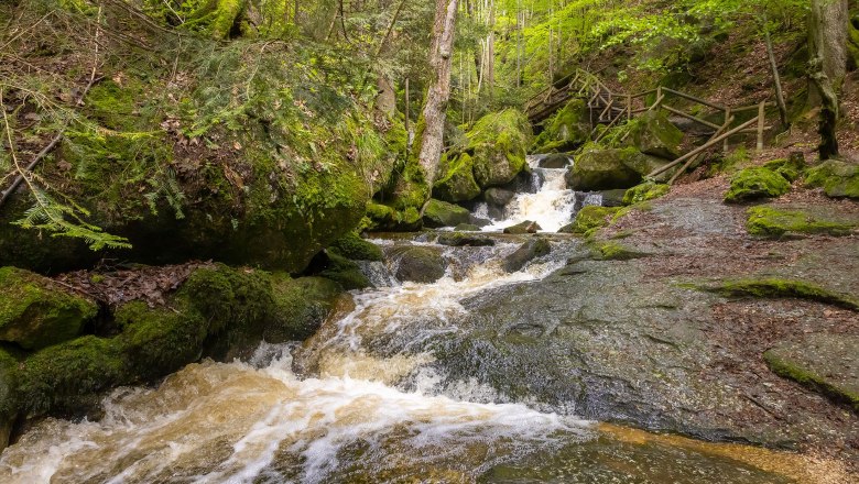 Clear water of the Ysper flows over stones in the shady section of the Ysper Gorge