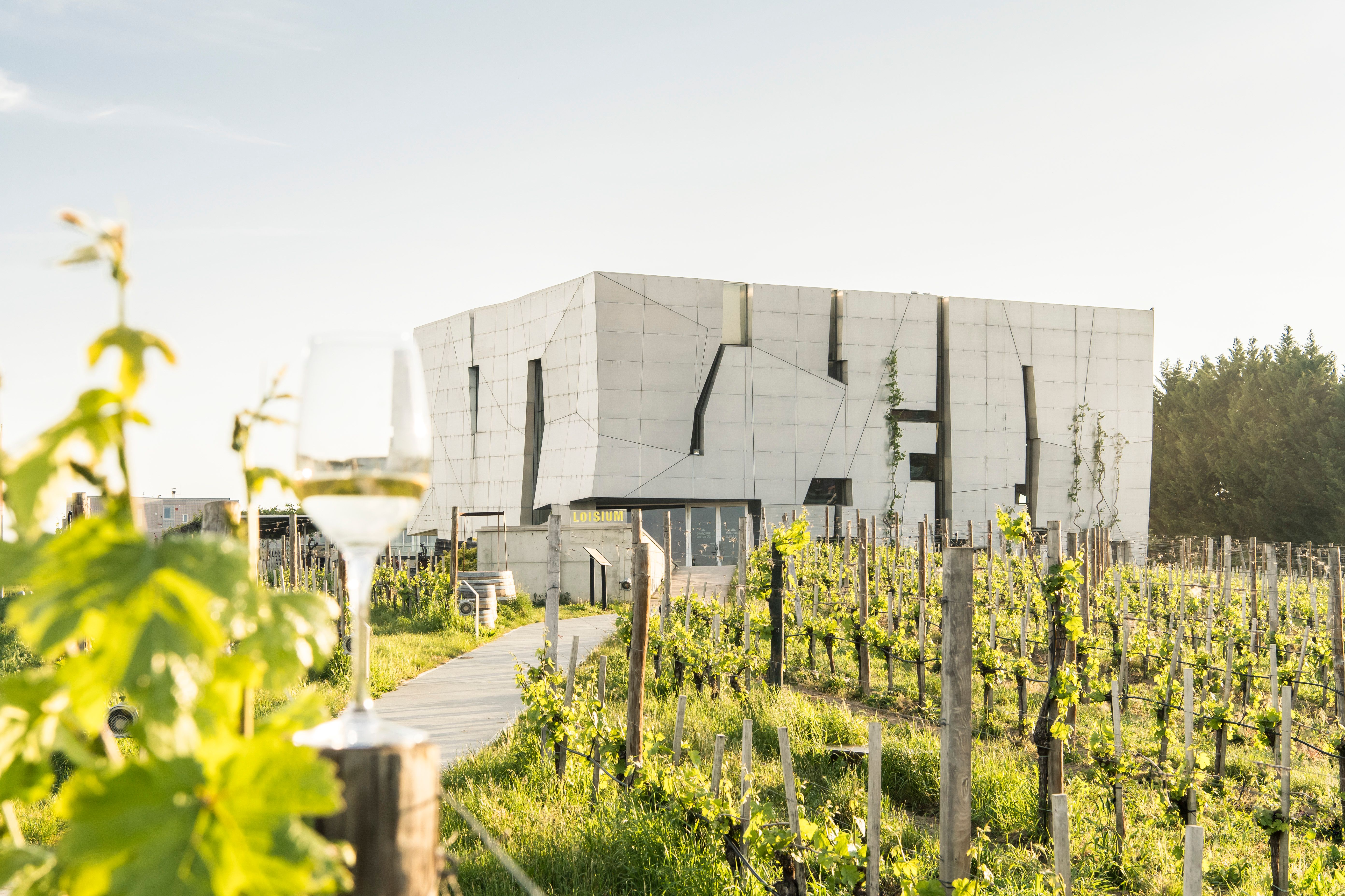 Umgeben von sanften Weinbergen strahlt das moderne Gebäude eine harmonische Verbindung von Architektur und Natur aus. Die sanften Hügel laden dazu ein, die frische Luft zu genießen und die Schönheit der Umgebung zu erkunden. Ein perfekter Ort für Weinliebhaber und Naturliebhaber gleichermaßen.