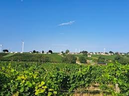 images, © Herbert Wallner