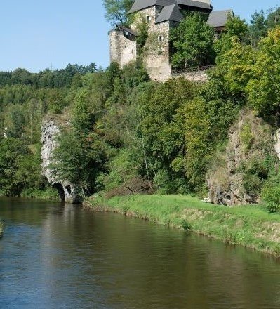 Castle on a wooded hill on the riverbank.