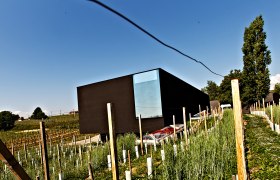 Modern architecture in Fred Loimer's vineyard in Kamptal, © zVg Weingut Fred Loimer
