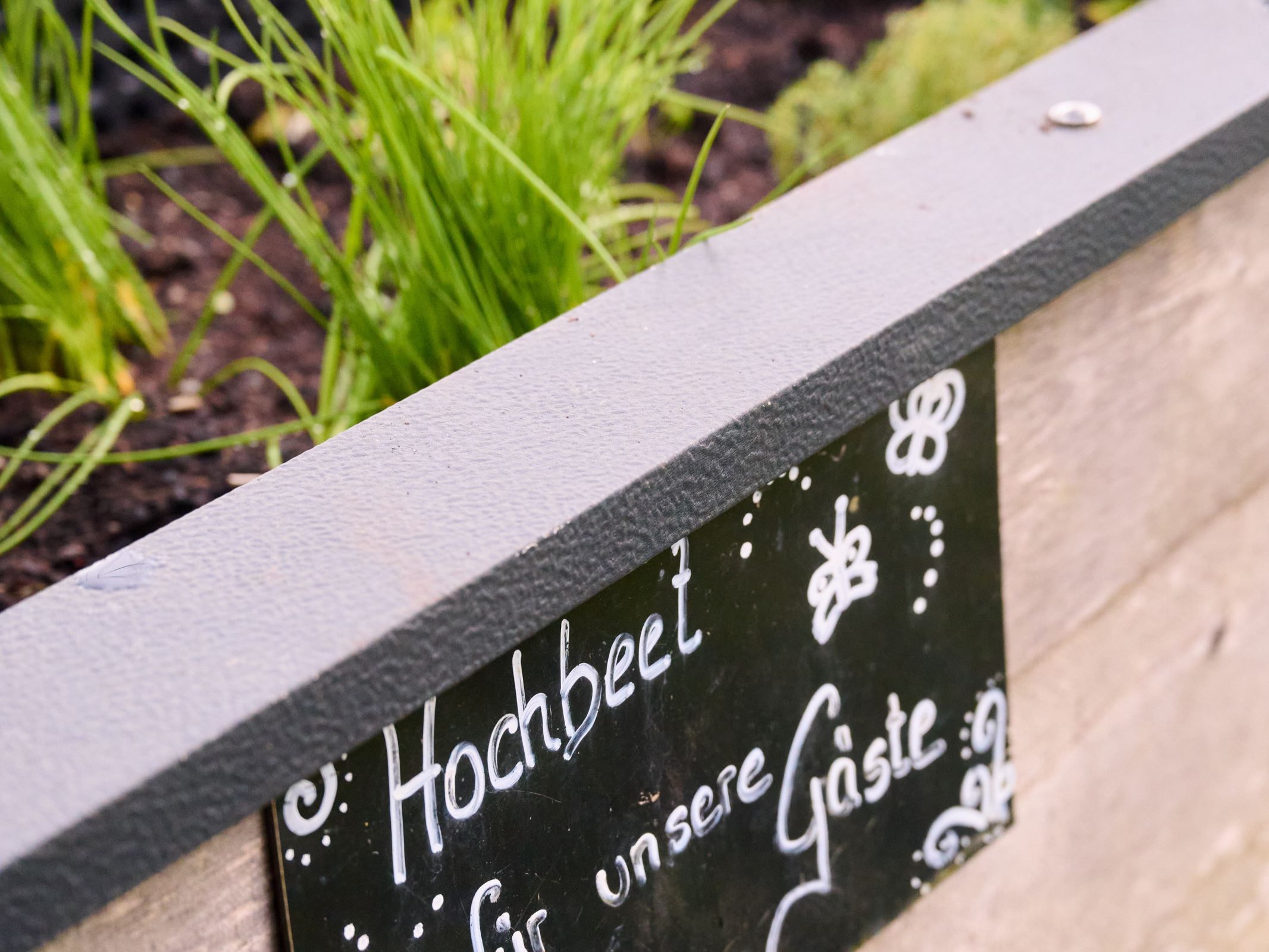 A raised bed with herbs and a sign saying 'Raised bed for our guests'.