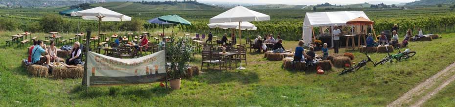 People sit on hay bales and at tables in a vineyard with parasols and tents.