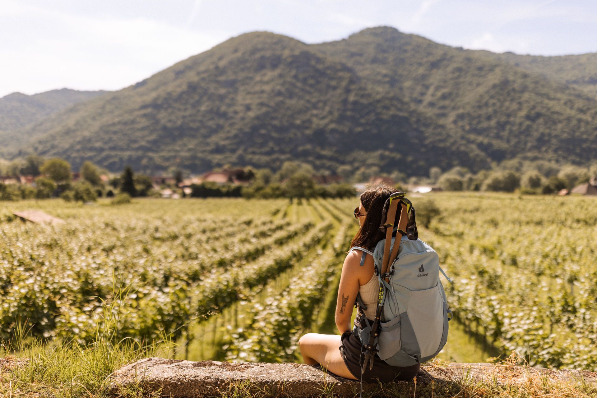 A hiker sits on a wall and looks out over vineyards