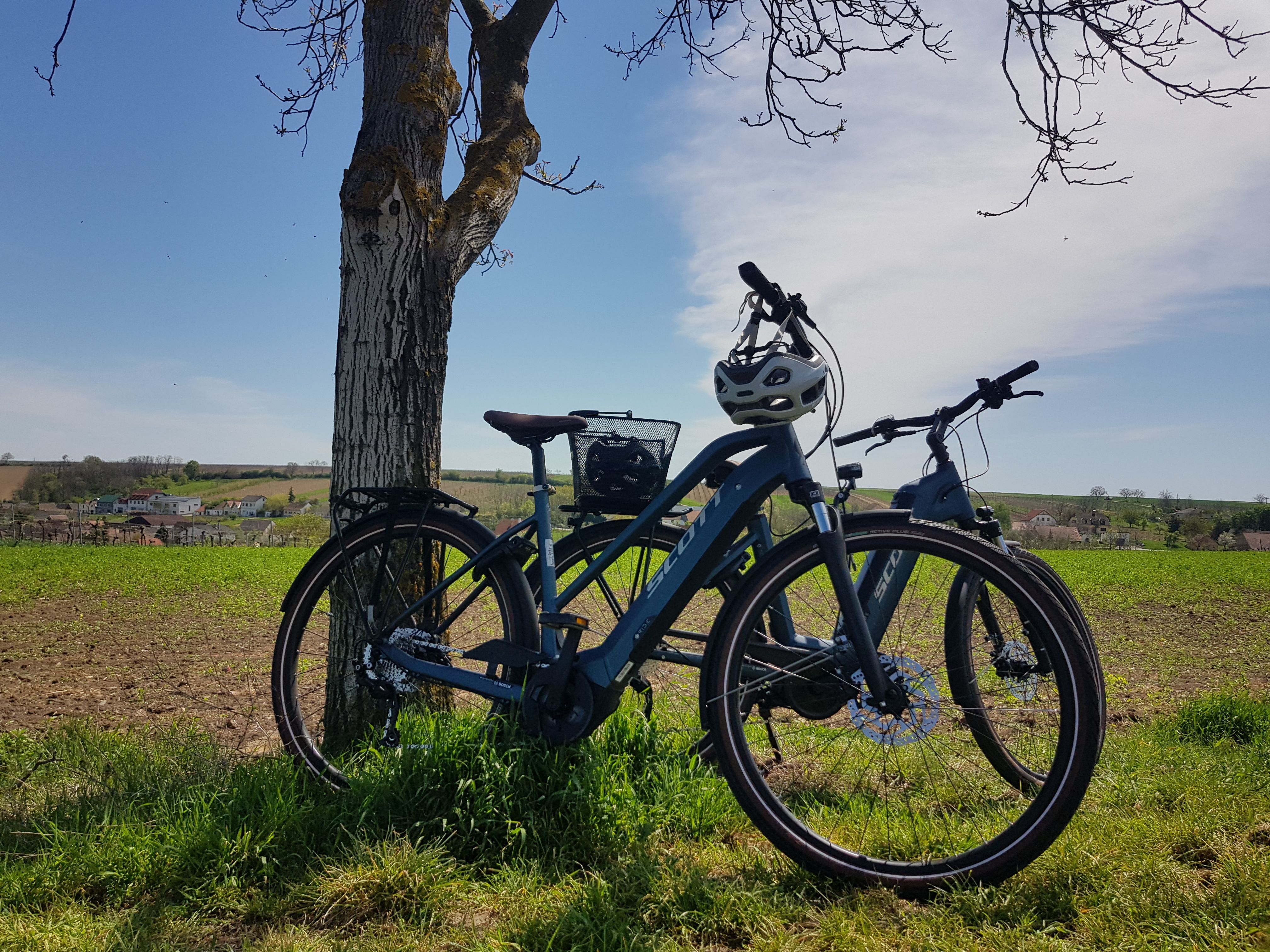 Two bicycles leaning against a tree in a field with a village in the background.