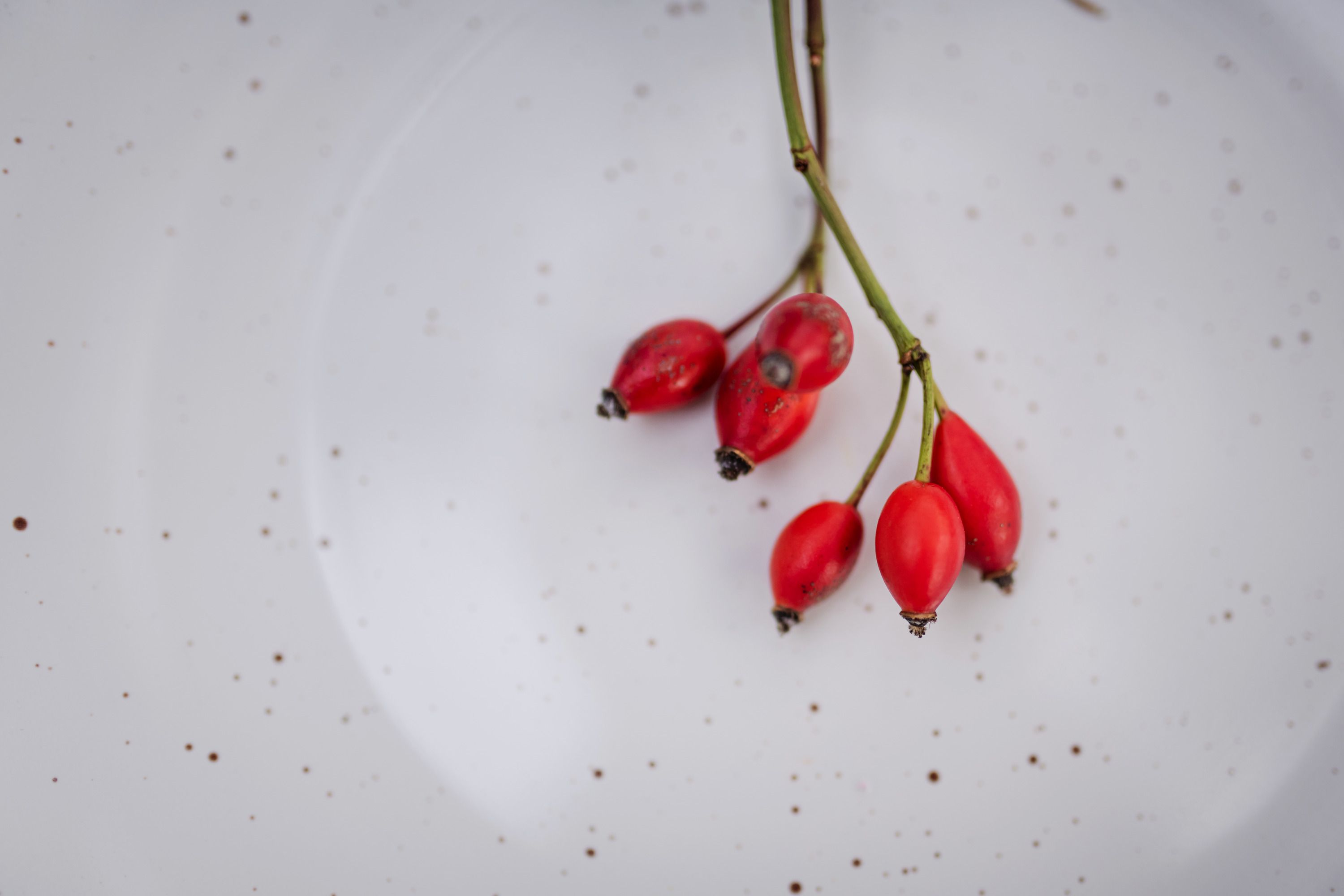 Close-up of red rose hips on a white, speckled background.