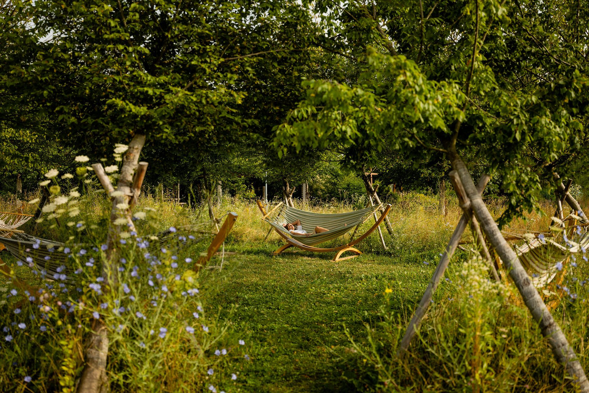 Inmitten einer blühenden Wiese laden gemütliche Hängematten zum Entspannen ein. Umgeben von üppigem Grün und bunten Wildblumen, ist dieser Ort ein perfektes Refugium für Naturliebhaber und Erholungssuchende.