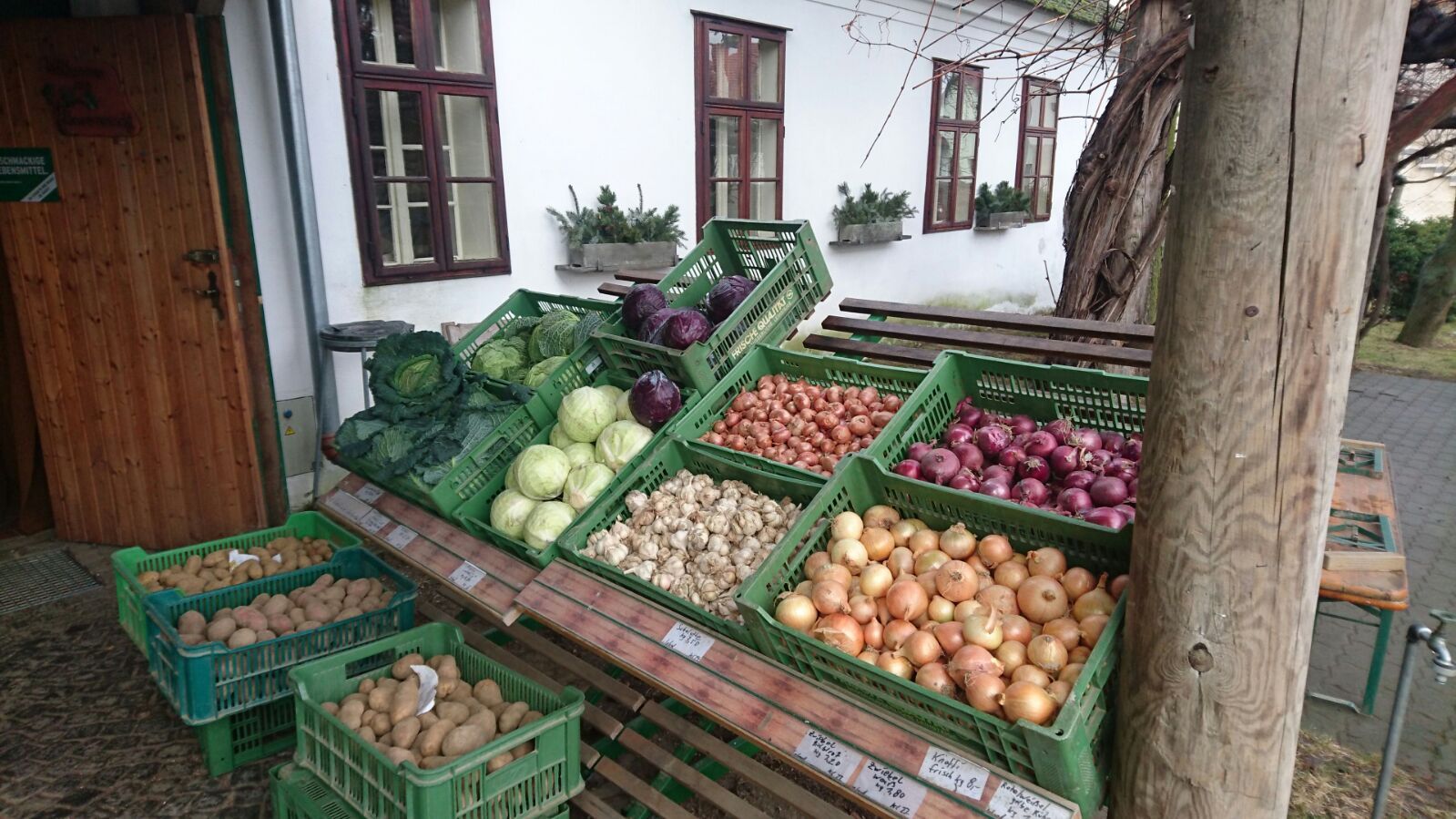 Vegetable stall with different varieties of cabbage, onions and potatoes in green crates in front of a building.