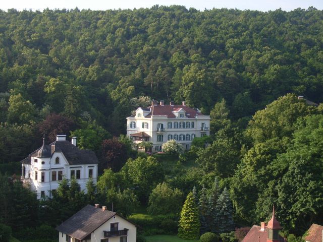 Large manor house surrounded by lush forest in Gars.