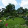 A green garden with trees, flowers and benches under a blue sky.