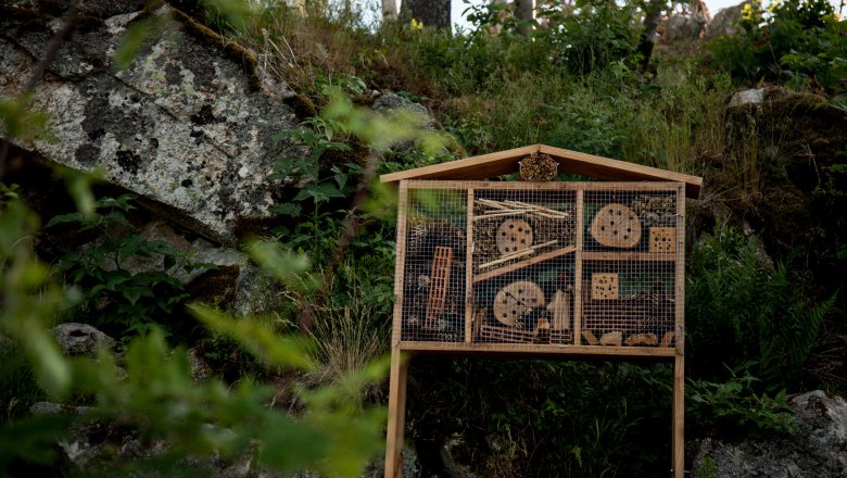 Insect hotel barrier-free viewing platform Braunegg, &copy; Aigner Christoph