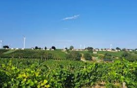 images, &copy; Herbert Wallner