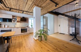 Modern kitchen with wooden floor and ceiling, staircase and plants.