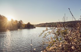 Vienna Woods Lake, © Wienerwald Tourismus/Andreas Hofer