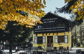A yellow building with the sign 'Restauration Waldhof' surrounded by trees and a large garden with tables and benches.