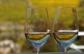 Two wine glasses with white wine in front of a blurred background.