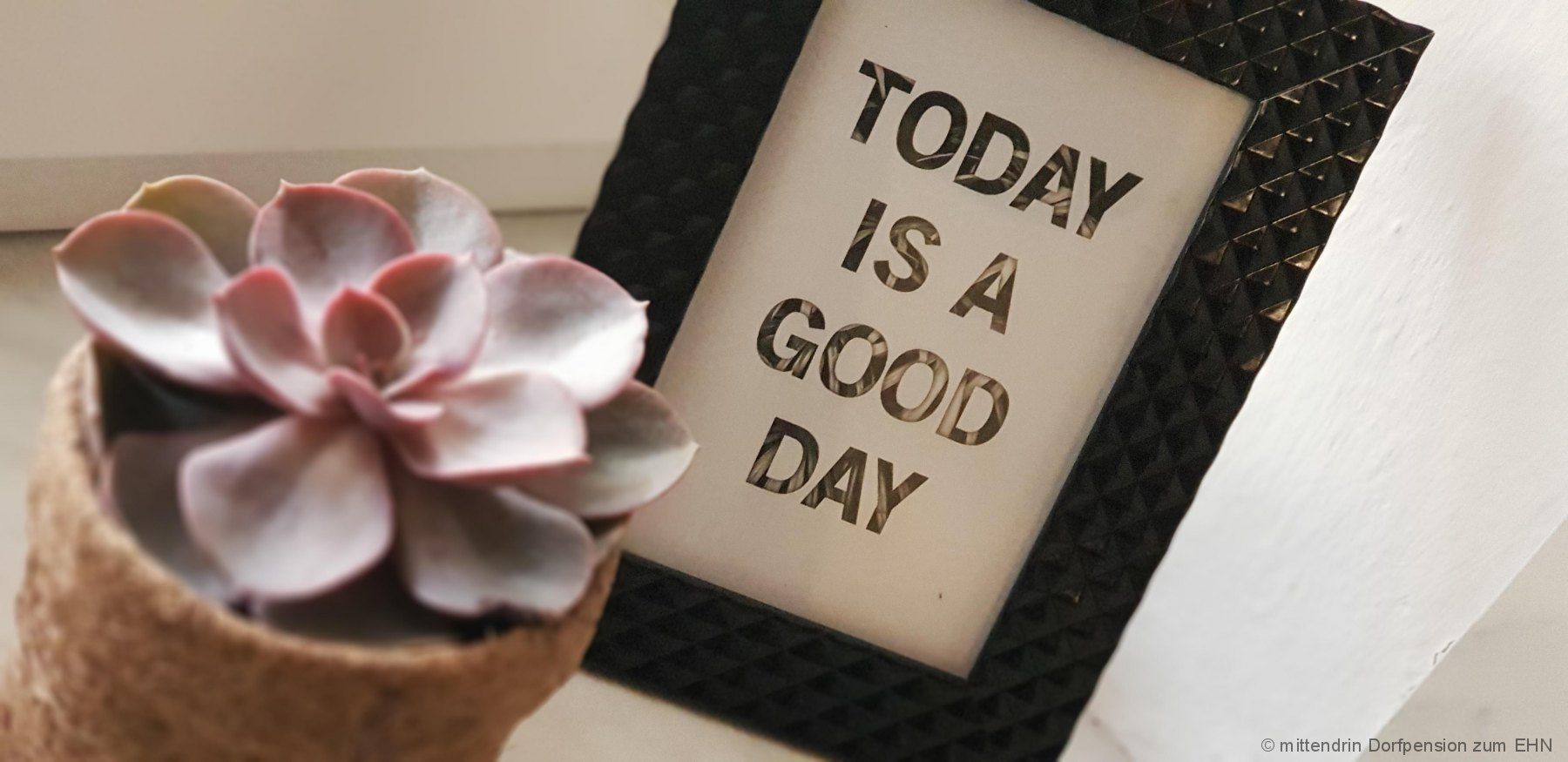 A flower with a sign that says "Today Is A Good Day" at the top.