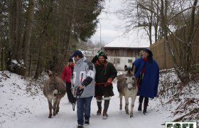 Donkey hike, © Robert Wagner