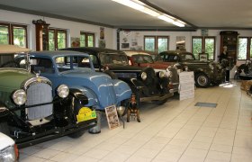 Interior view of a classic car museum with several classic cars in a row.