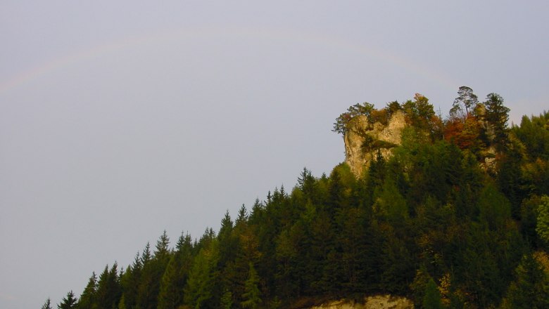 Falcon's nest, &copy; Simone Wagner