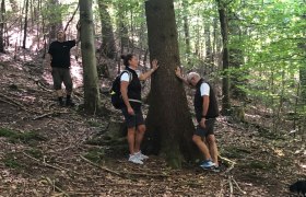 Forest bathing, © Walter Hasslinger