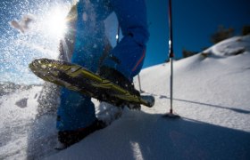 Close-up of a snowshoe in the snow with sunlight in the background.