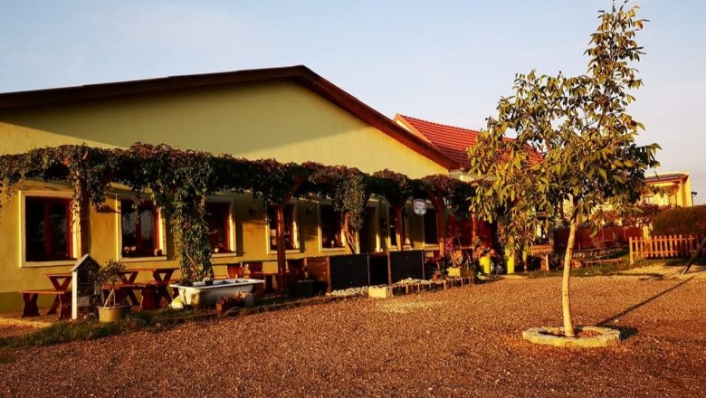 Yellow building with terrace, vines and tree in the foreground at sunset.