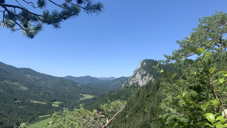 View of wooded mountains in the Falkenstein Nature Park under a blue sky.