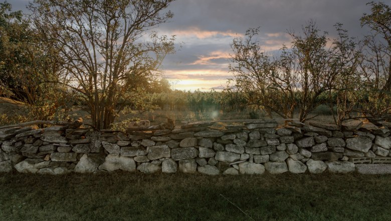 Natural stone wall in the garden with trees in the background at sunset.