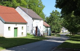 A quiet street with traditional houses and green trees on a sunny day.